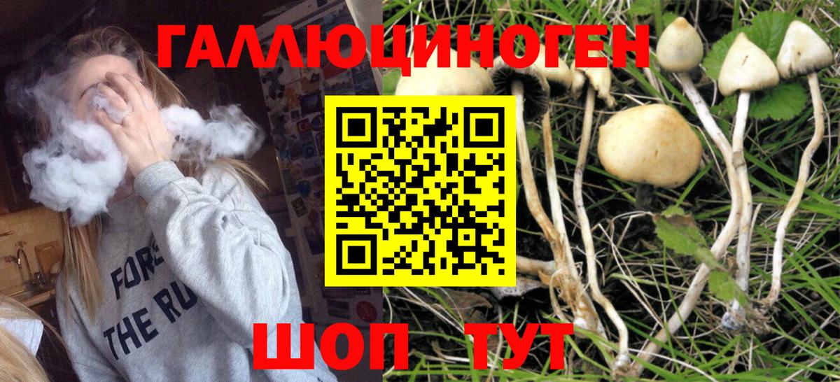 хочу   Вход с VPN  Губкинский  Галлюциногенные грибы ЛСД 