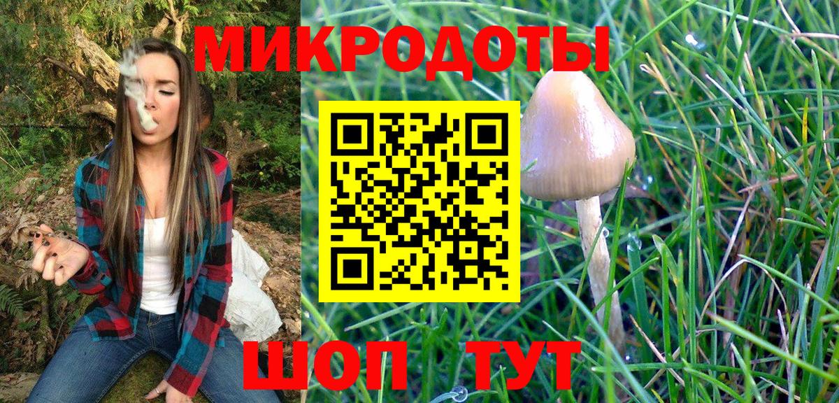 Псилоцибиновые грибы прущие грибы Губкинский